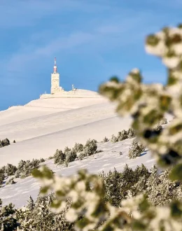Rando Montée du ventoux