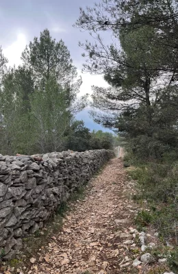 Rando le mur de la peste